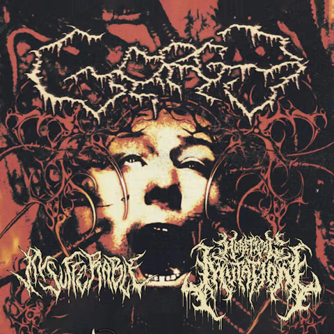 Gorge / Heretical Mutation / Insufferable