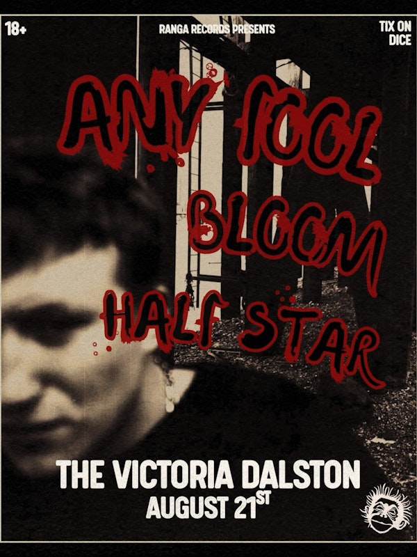 Any Fool, Bloom, Half Star