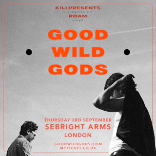 Good Wild Gods
