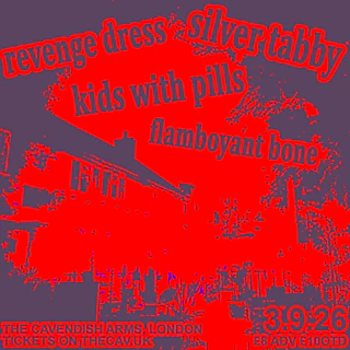 Silver Tabby/Revenge Dress/Kids With Pills/Flamboyant Bone