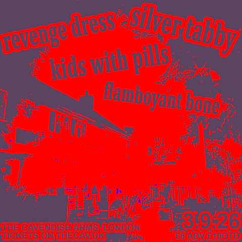Silver Tabby/Revenge Dress/Kids With Pills/Flamboyant Bone