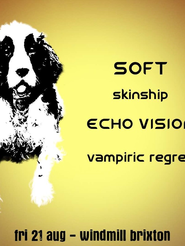 SOFT, Skinship, Echo Vision, Vampiric Regrets