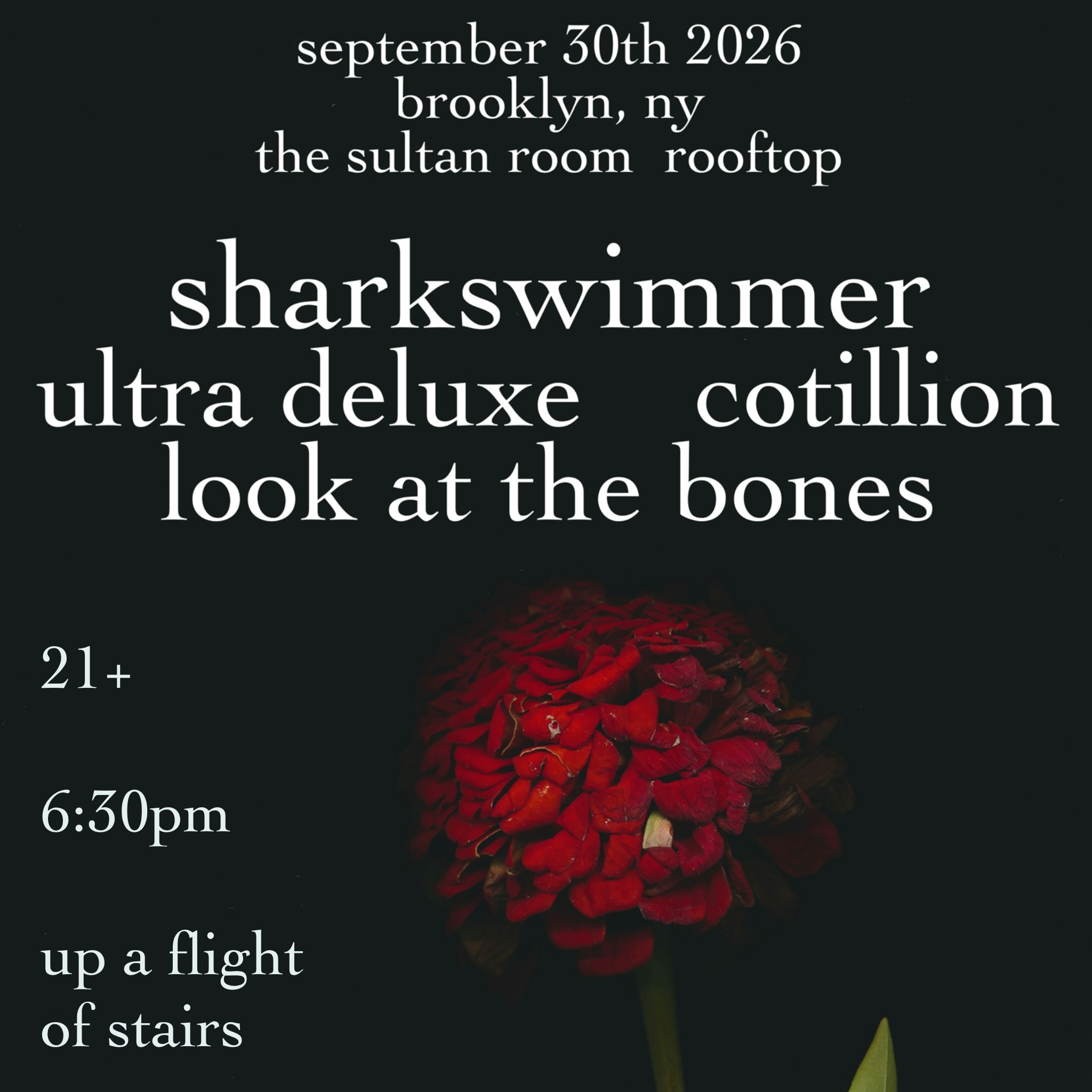 Sharkswimmer, Ultra Deluxe, Cotillion, Look at the Bones