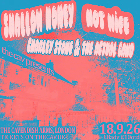 Shallow Honey/ Hot Wife/ Charley Stone and The Actual Band