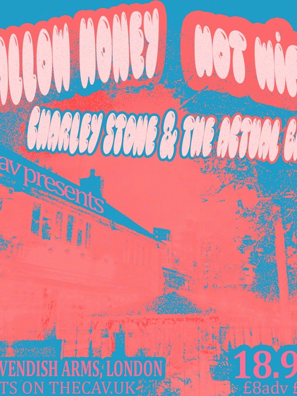 Shallow Honey/ Hot Wife/ Charley Stone and The Actual Band