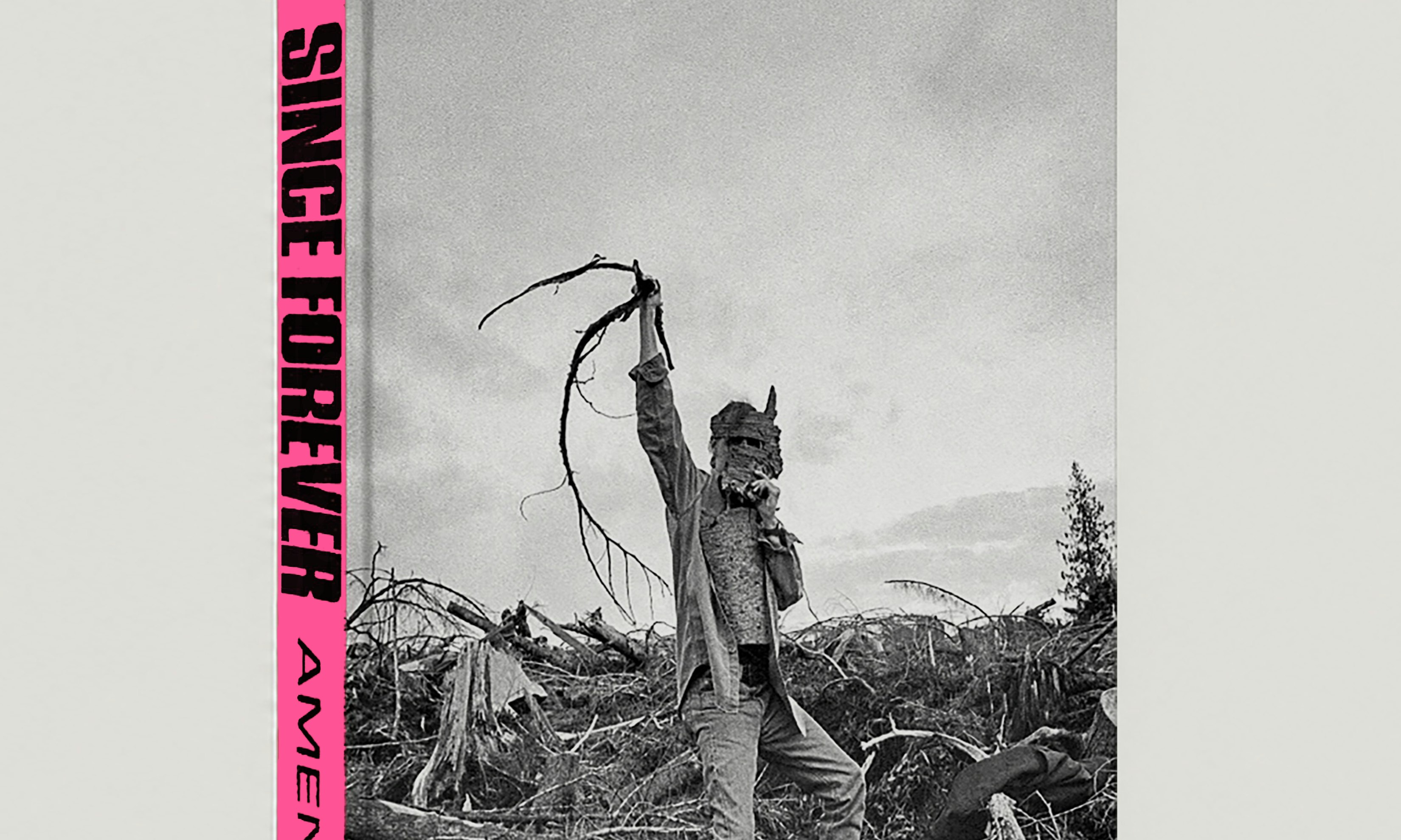 Jeff Ament - Since Forever