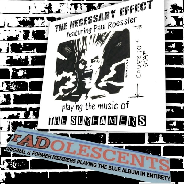 The Necessary Effect ft. Paul Roessler of the Screamers, Radolescents
