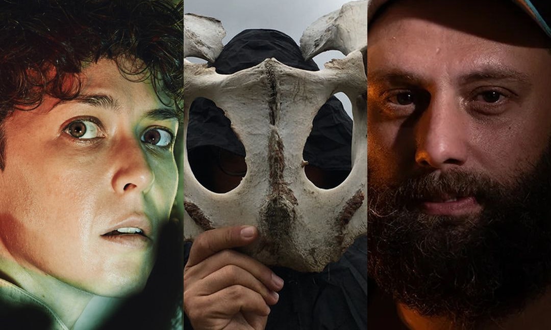 DIG Festival 2026: Laura Agnusdei, MaiMaiMai e Krano