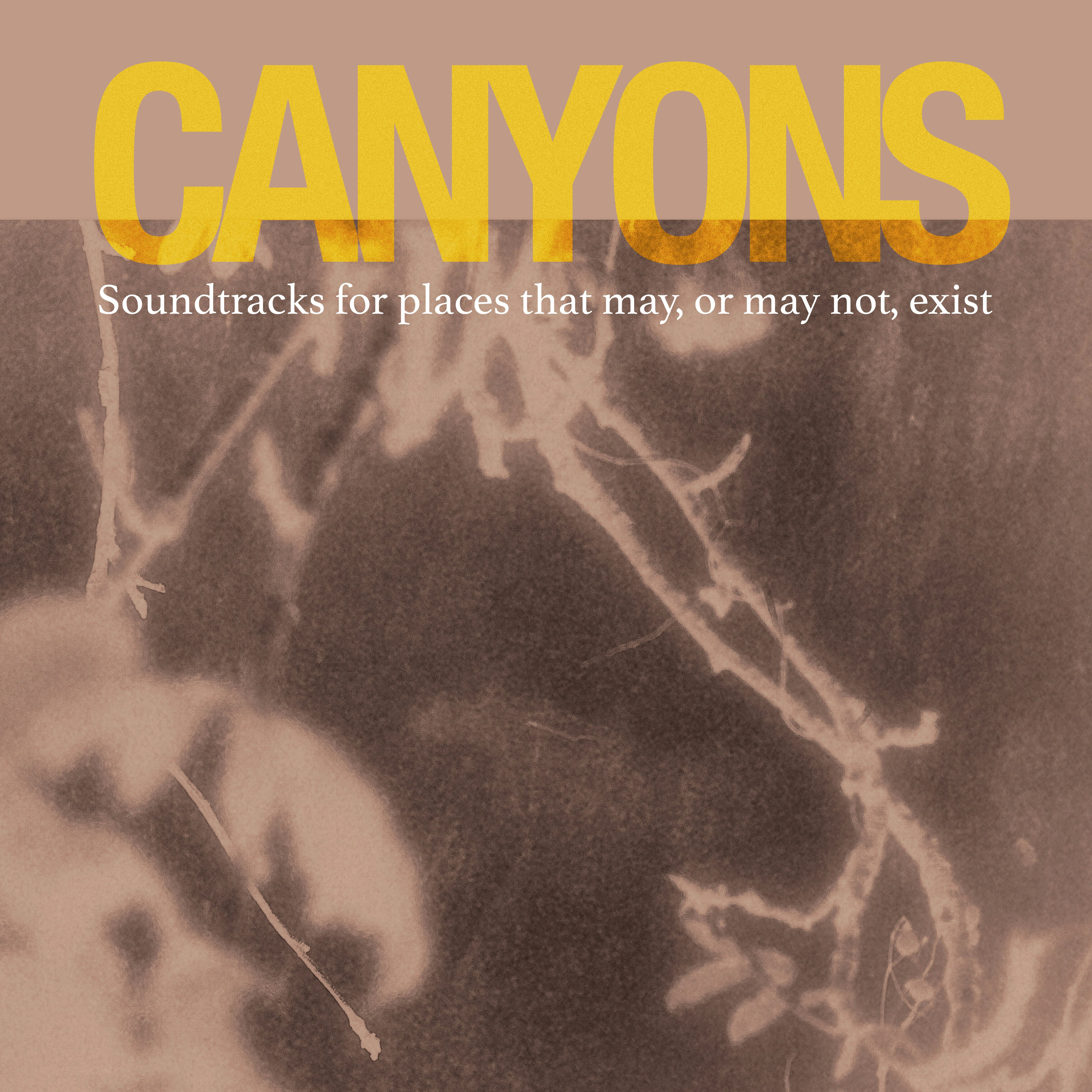 Canyons (Live)