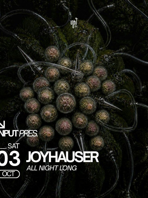 INPUT pres JOYHAUSER All Night Long