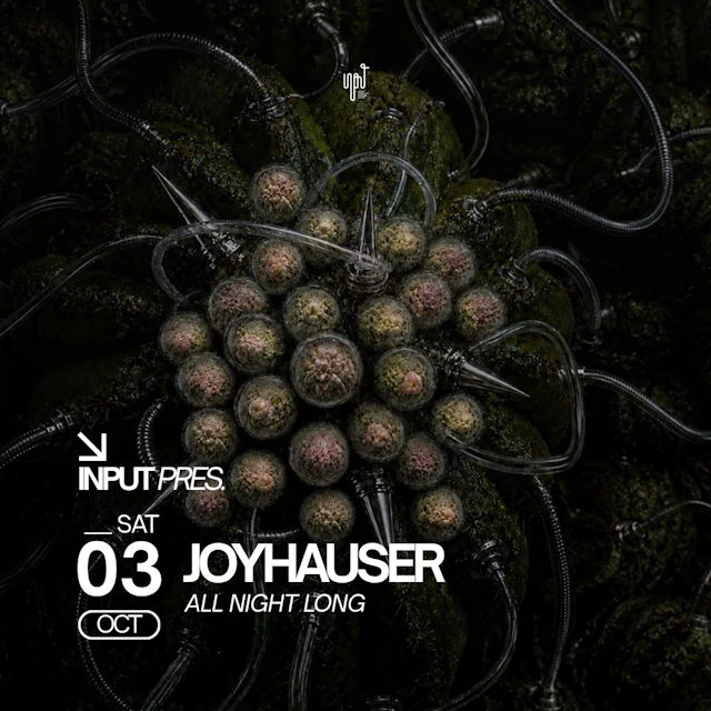 INPUT pres JOYHAUSER All Night Long
