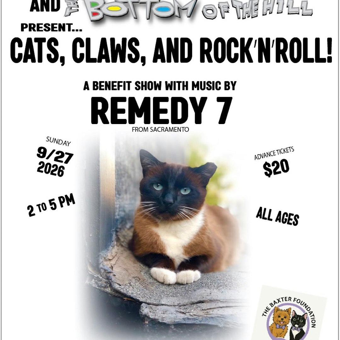 "Cats, Claws, & Rock'n'Roll" : Remedy 7