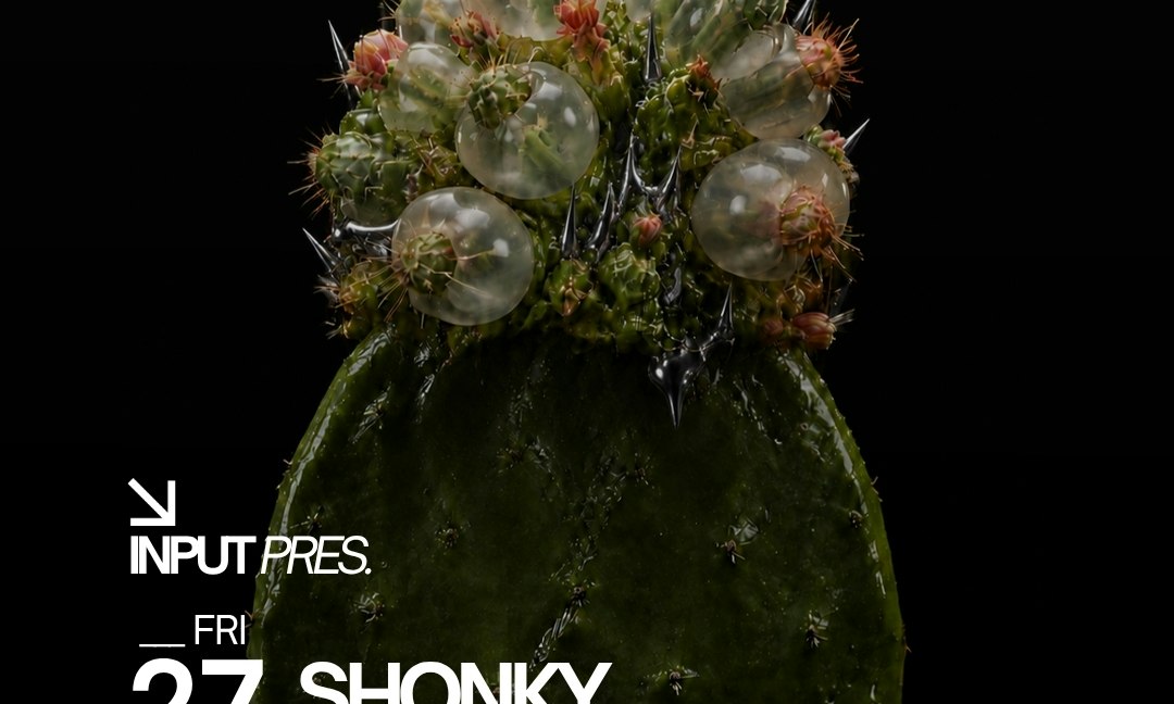 INPUT pres SHONKY All Night Long
