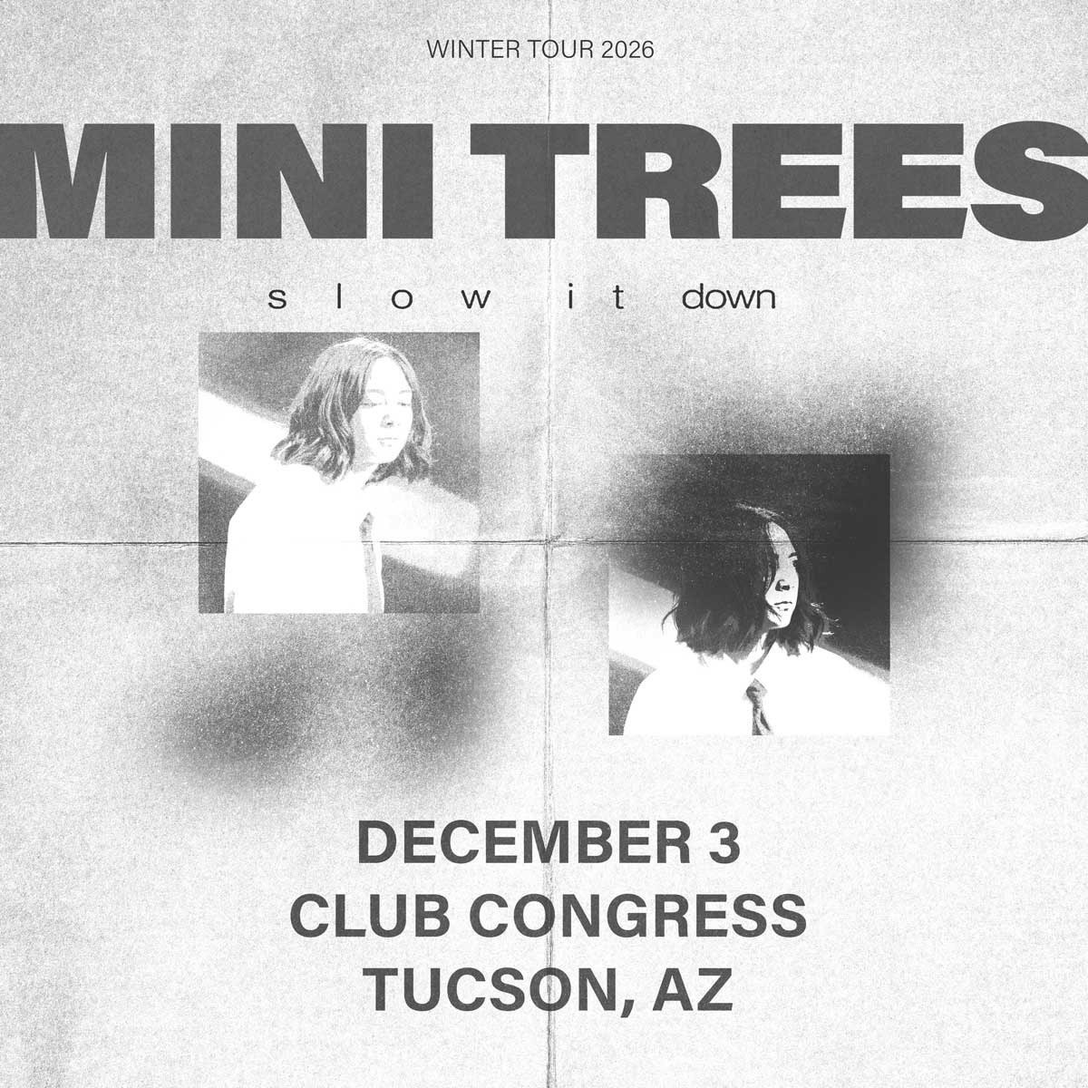 Mini Trees