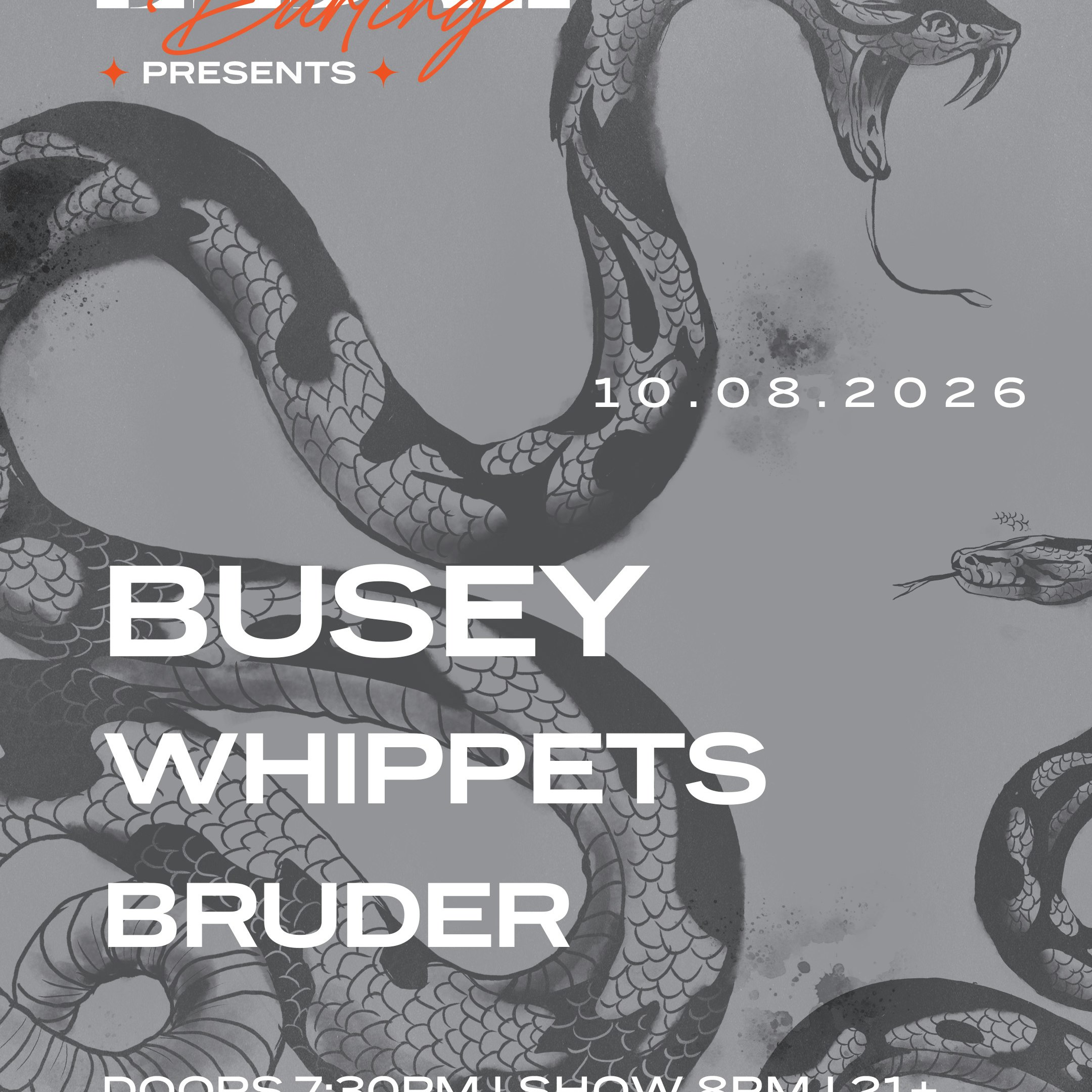 Busey, Whippets, & Bruder