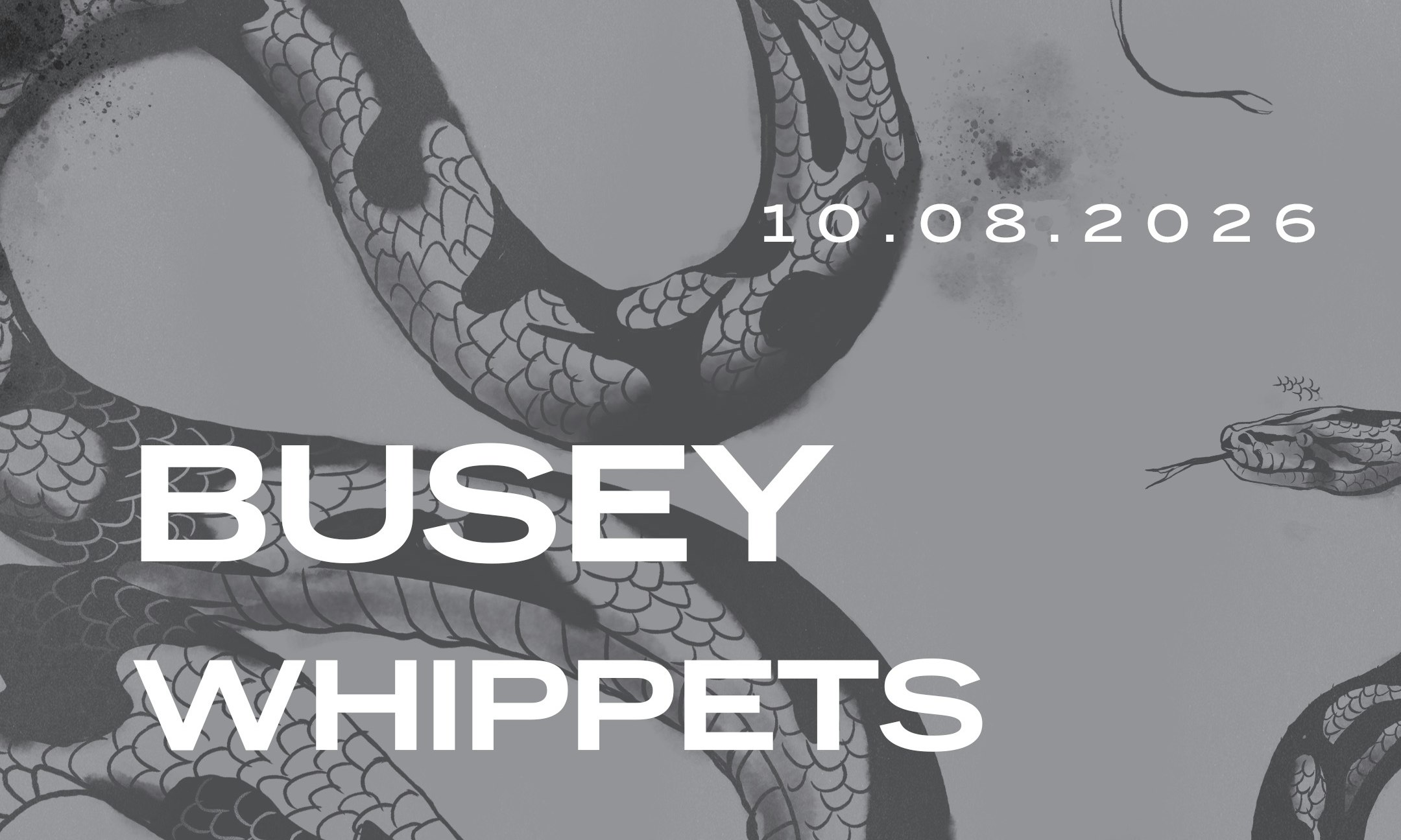 Busey, Whippets, & Bruder
