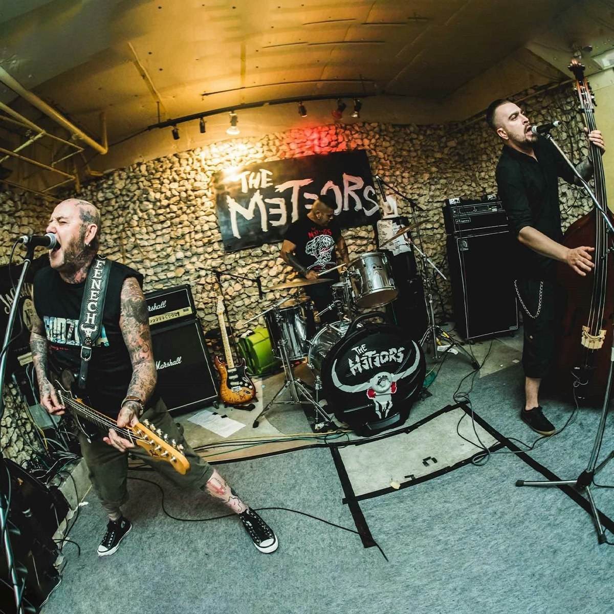 The Meteors