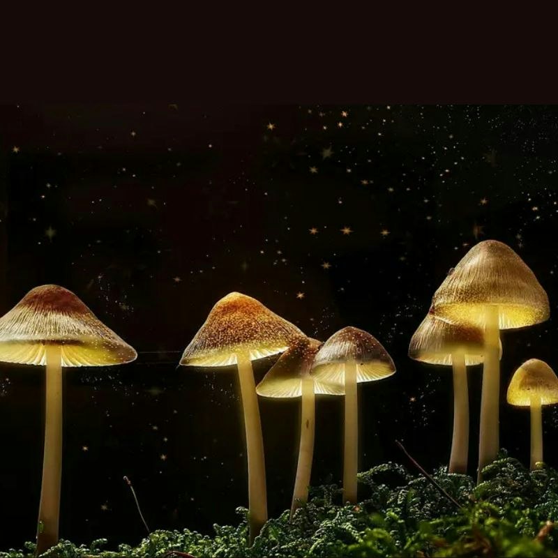The Science of Magic Mushrooms at The Lemon Tree, Aberdeen