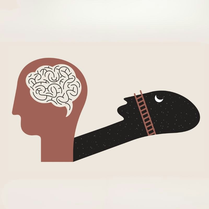 The Science of Dreams
