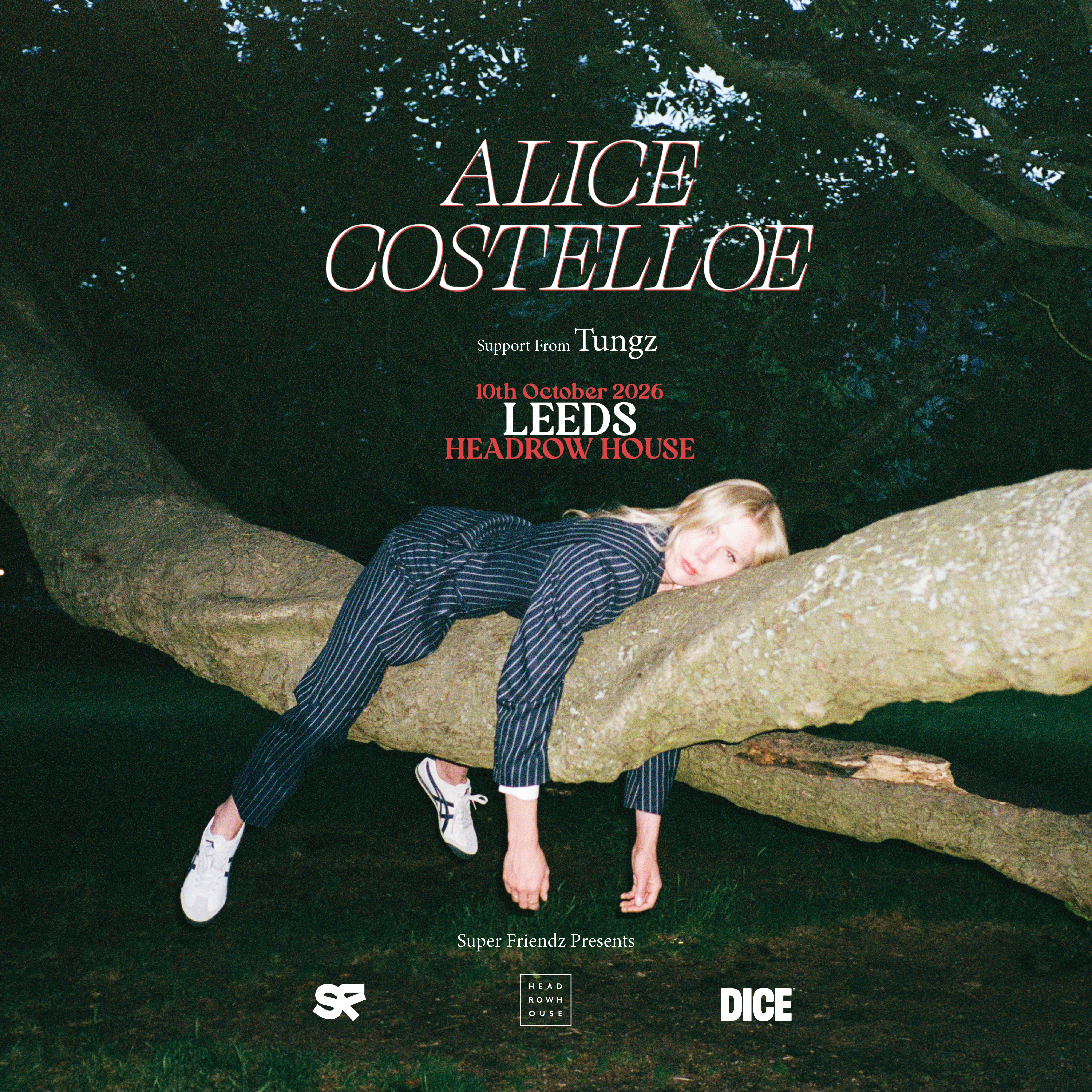 Alice Costelloe at Headrow House, Leeds
