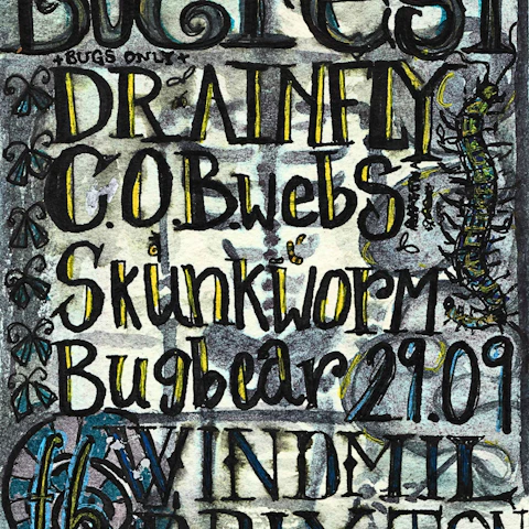 Bugfest: Drainfly, COBS, Skunkworm, Bugbear