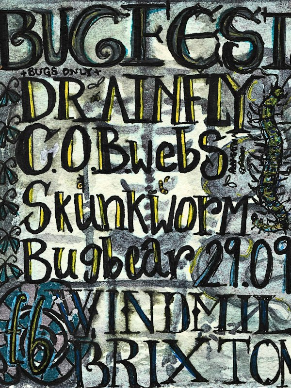 Bugfest: Drainfly, COBS, Skunkworm, Bugbear