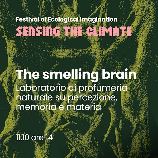 THE SMELLING BRAIN