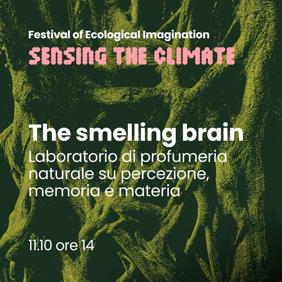 THE SMELLING BRAIN