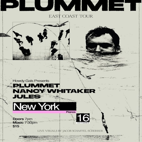 Plummet / Nancy Whitaker / Jules