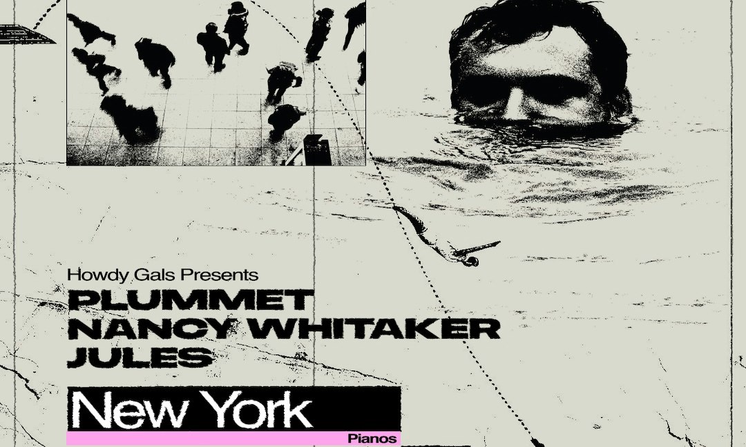 Plummet / Nancy Whitaker / Jules