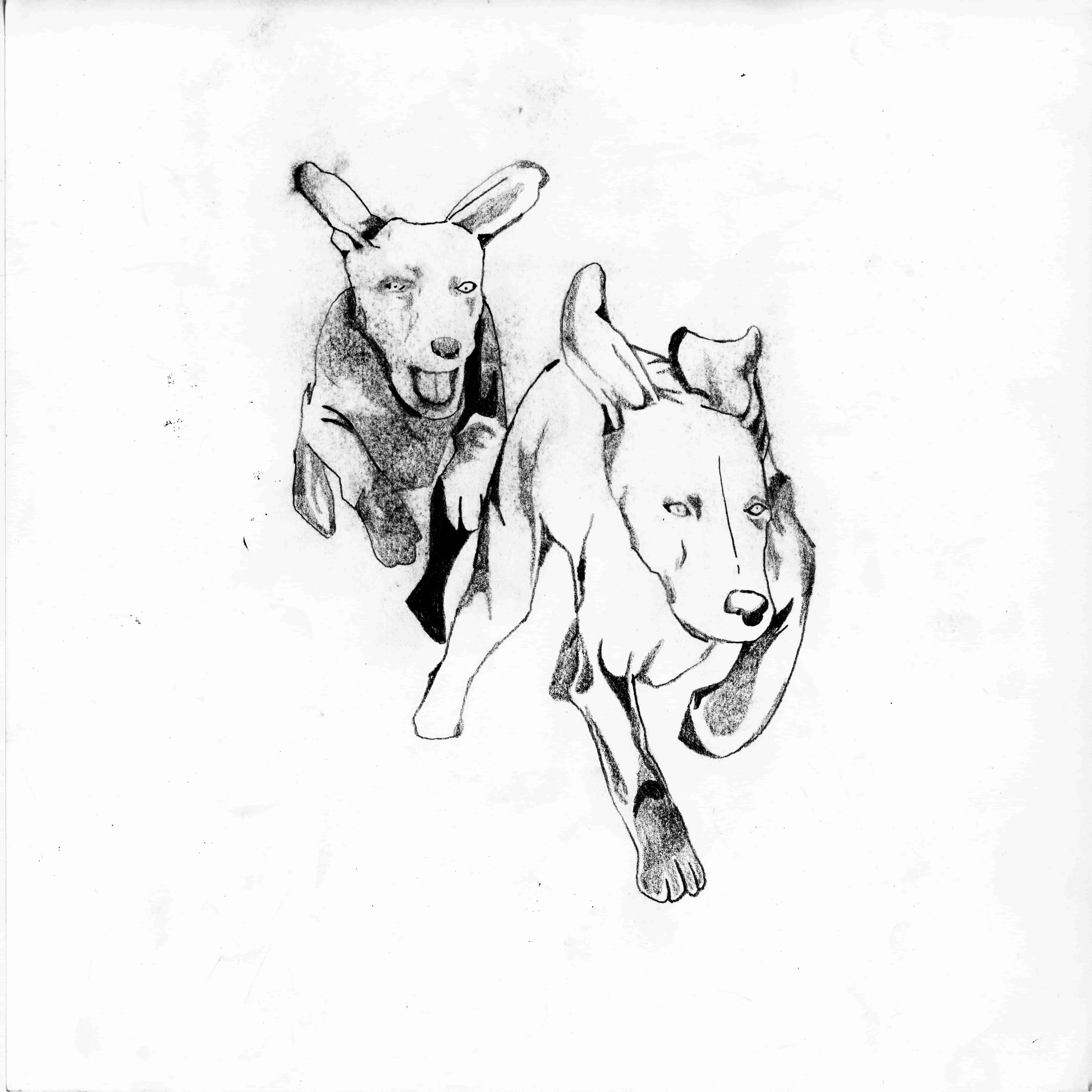HoundBack + Bone China + Sleeve + DOBERMAN