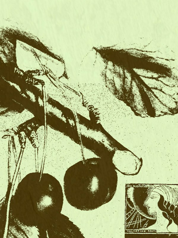 Ida The Young (CZ) / Dates For An Honest Mind