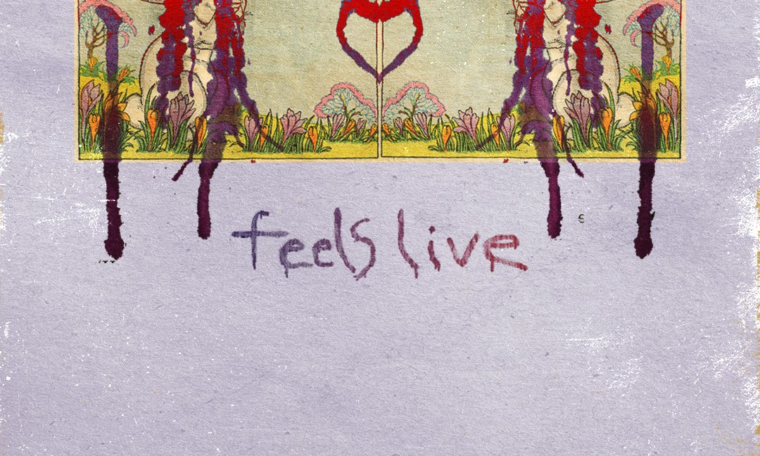Animal Collective Performs Feels Live