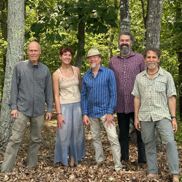 Seán Johnson & The Wild Lotus Band