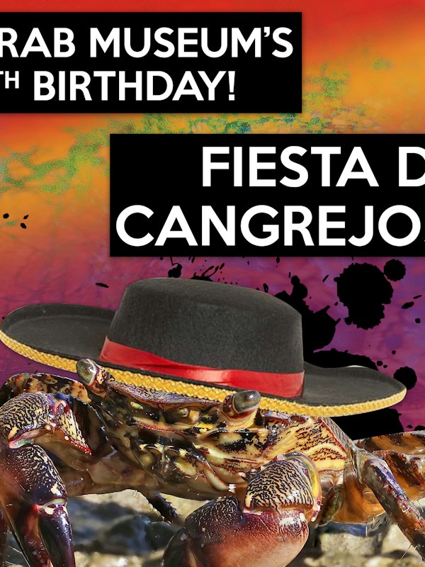Crab Museum's 5th Birthday!