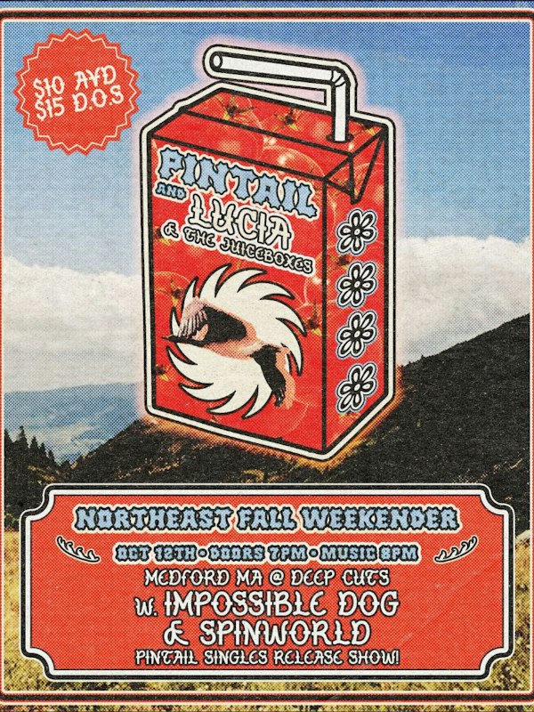 Pintail / Lucia and Juiceboxes / Impossible Dog / Spinworld