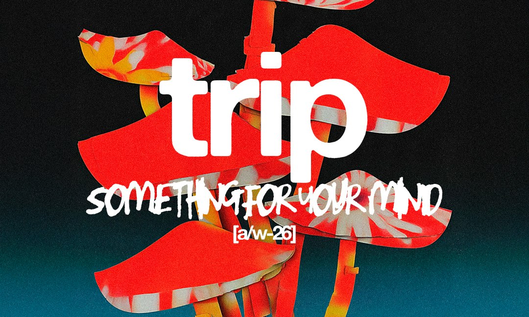 Source image — Trip: Traumer, Arapu, Cesar Vinzent b2b Isbel