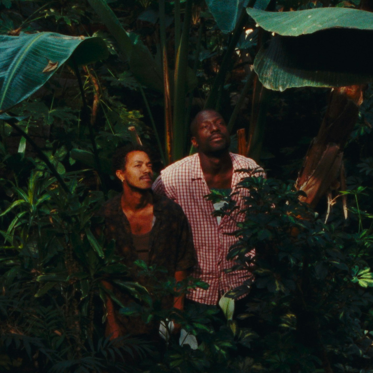 Brief Encounters II – Saturday (Short Film Program)