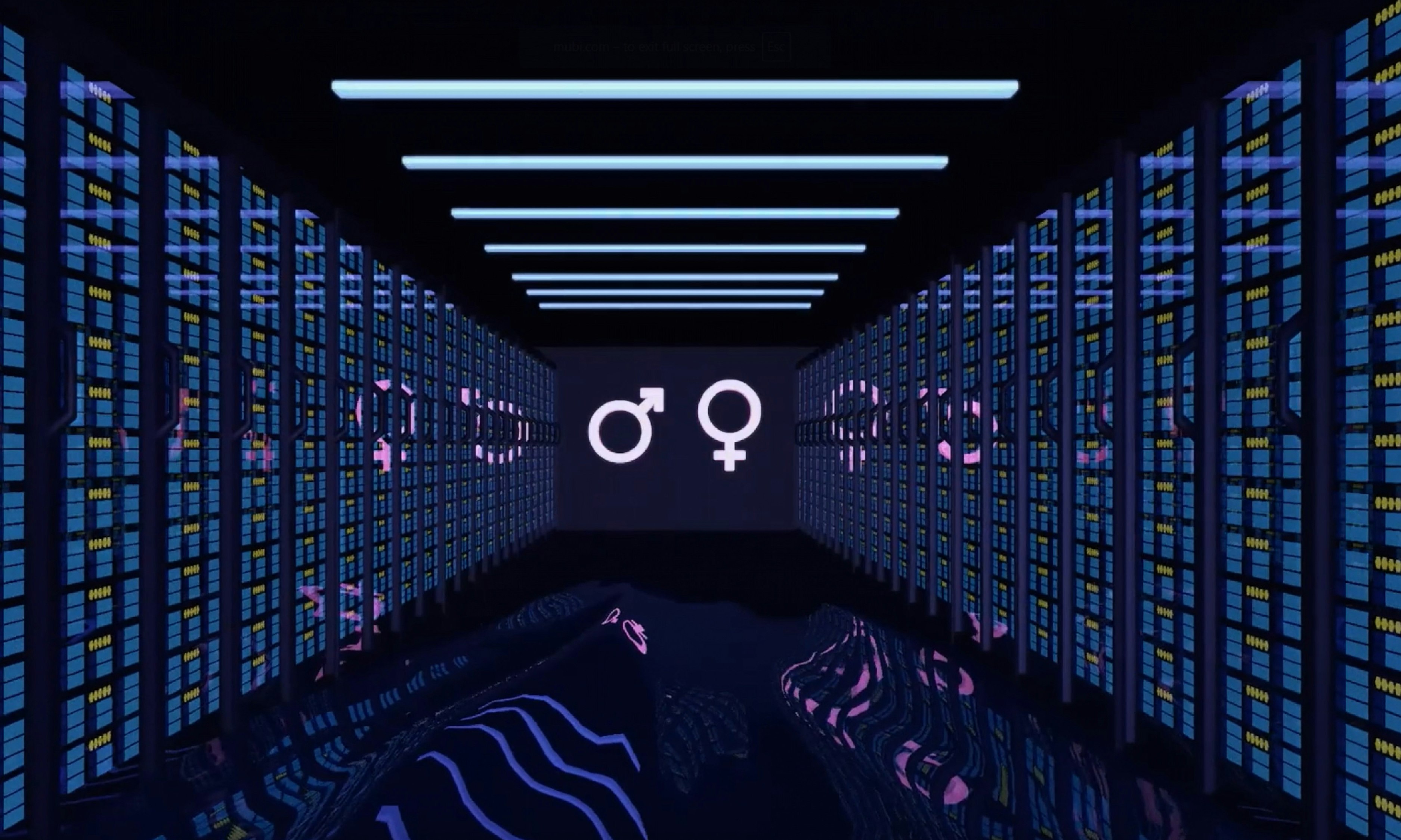 Extremely Online | Saturday (Short Film Program)