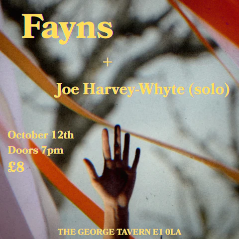 Fayns