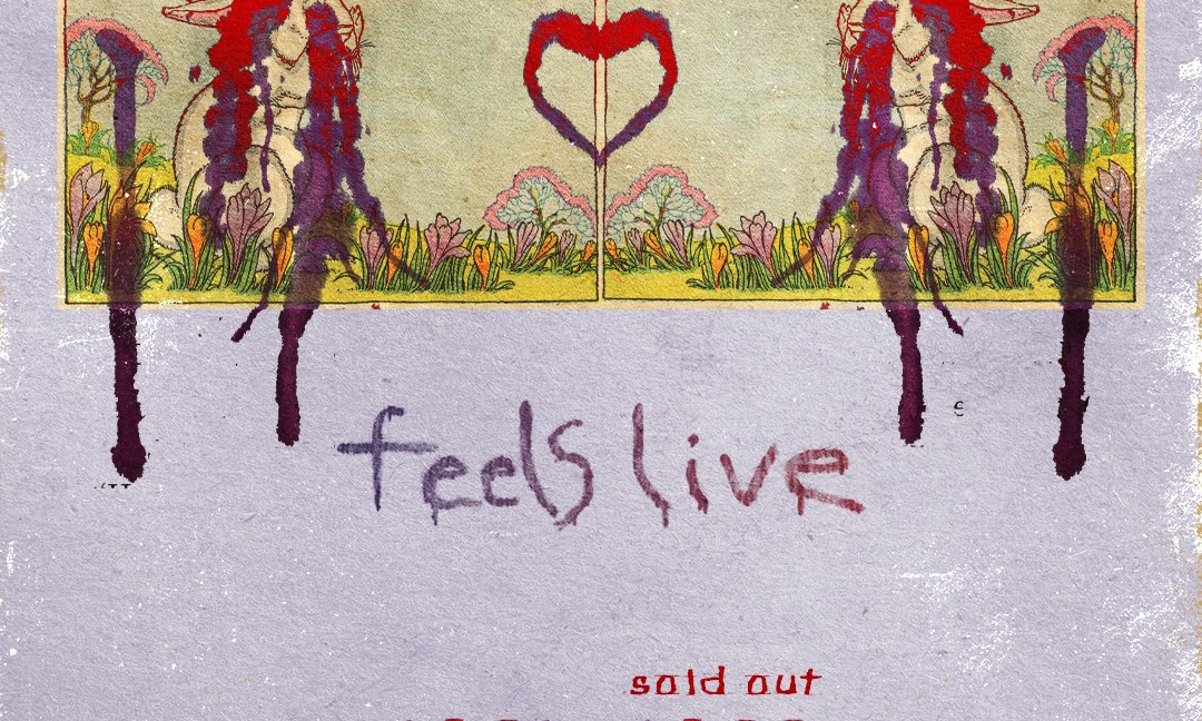 Animal Collective Performs Feels Live