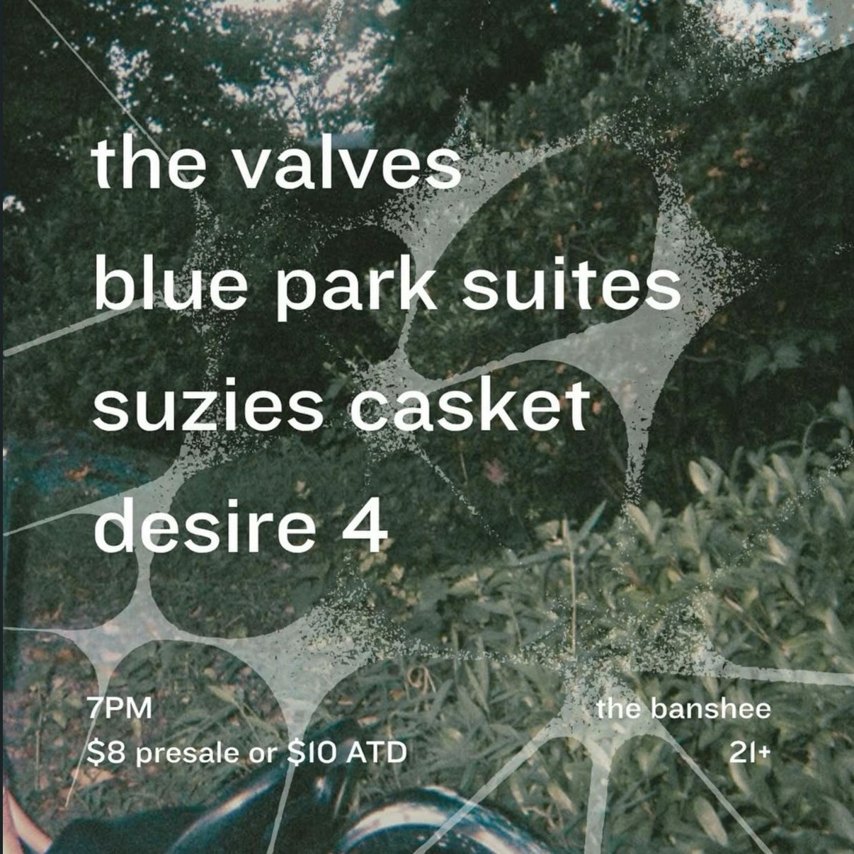 Blue Park Suites, The Valves, Suzies Casket, and desire 4