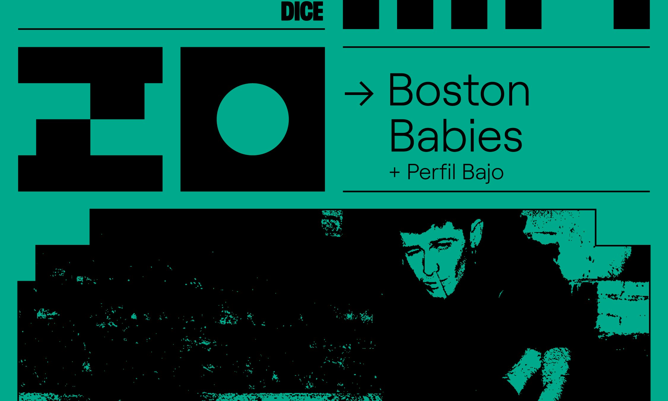 Boston Babies + Perfil Bajo en MAZO