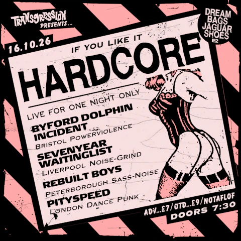 TRANSGRESSION PRESENTS: If You Like It Hardcore 3