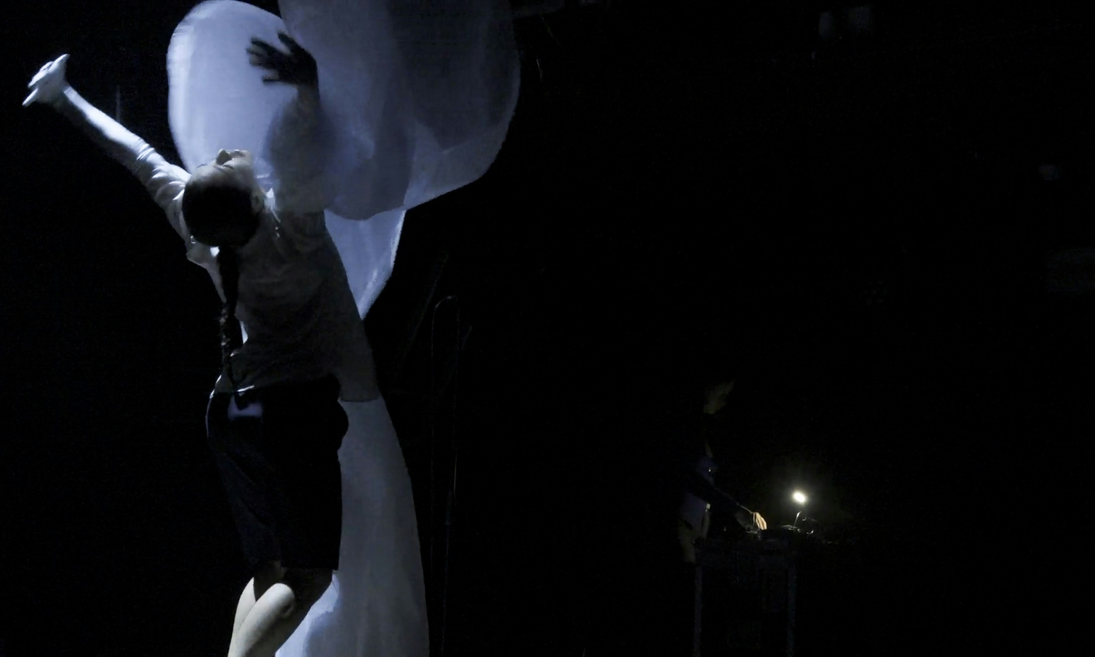 Imagem da fonte — Liana Zhen-Ai & Astrid Sonne "Normal Dreams"