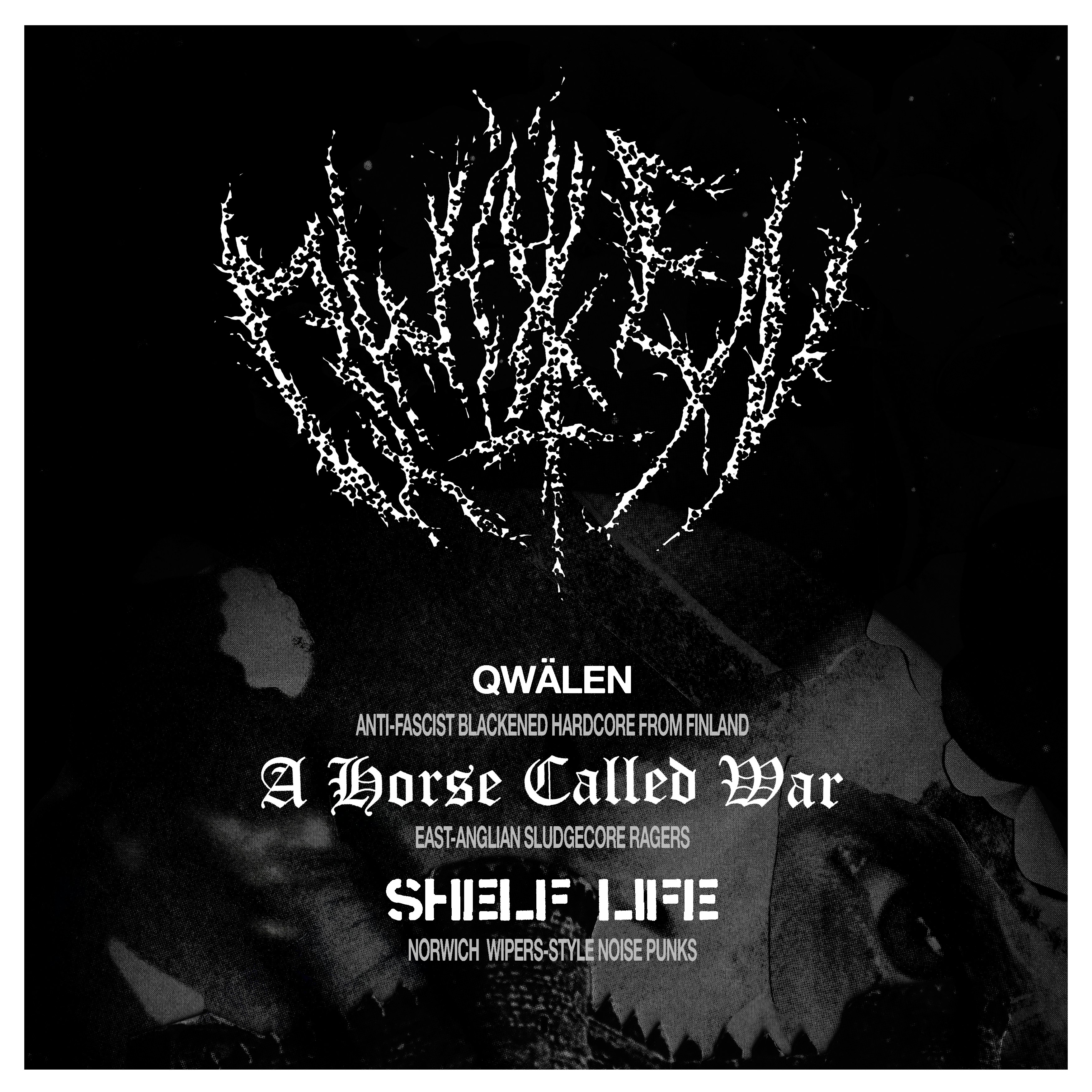 Qwälen + A Horse Called War + Shelf Life at Dead Wax Norwich, Norwich