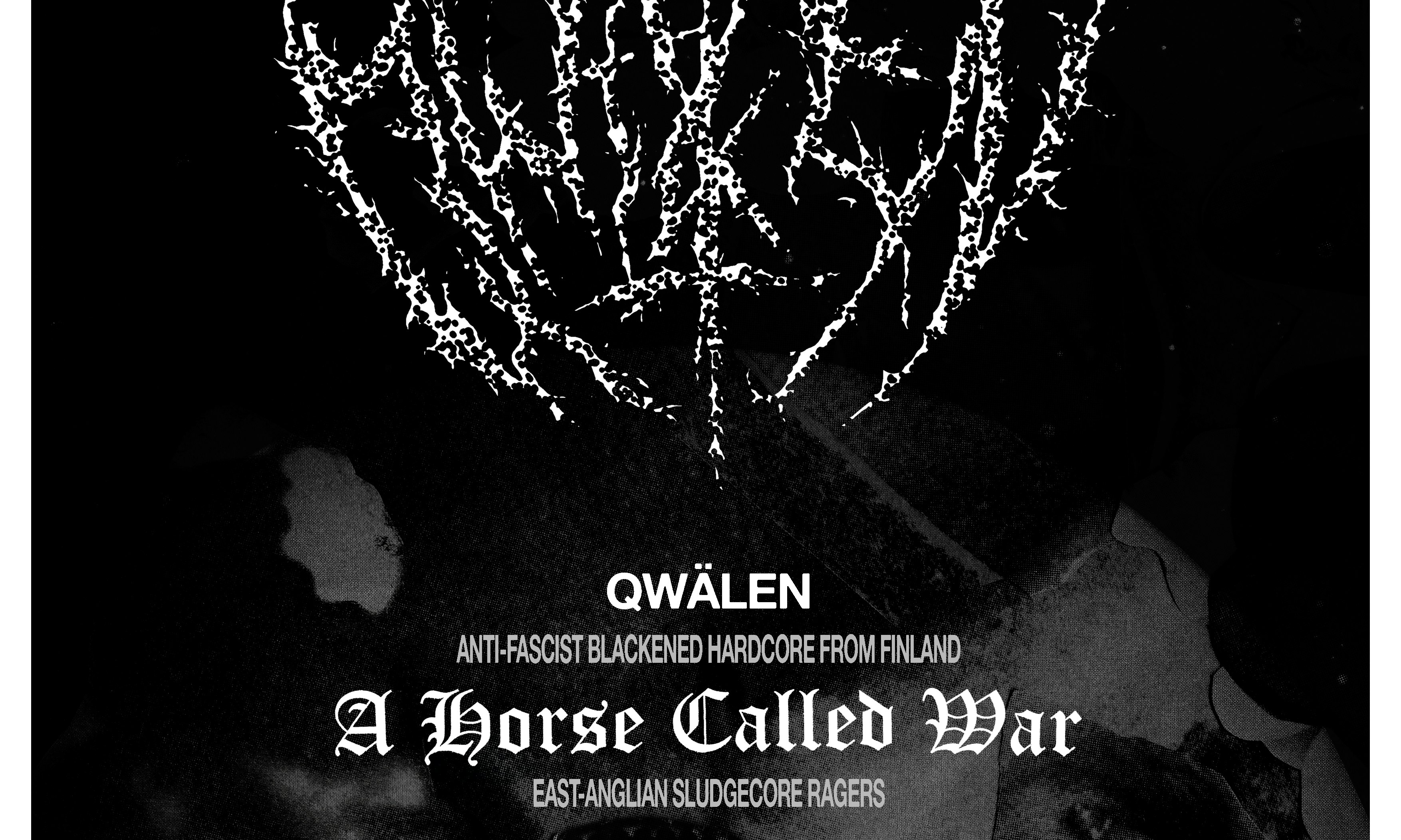 Qwälen + A Horse Called War + Shelf Life