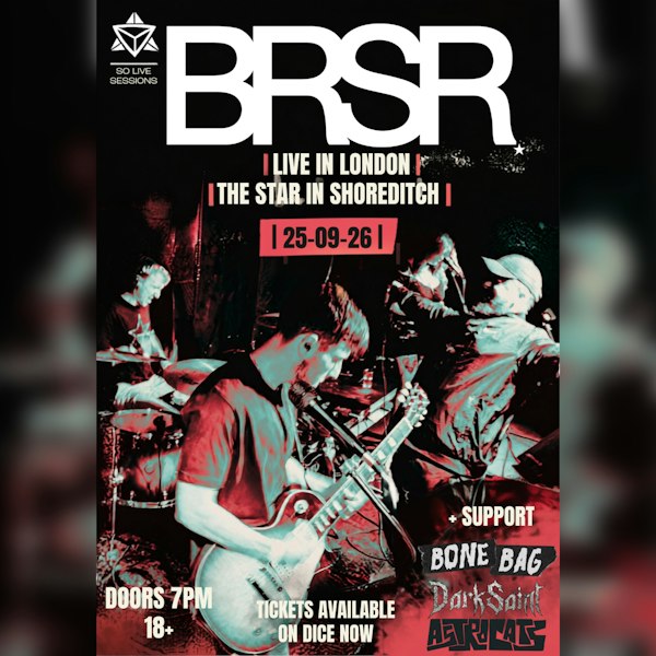 BRSR