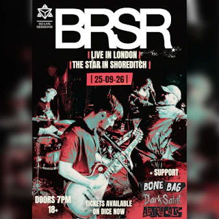 BRSR