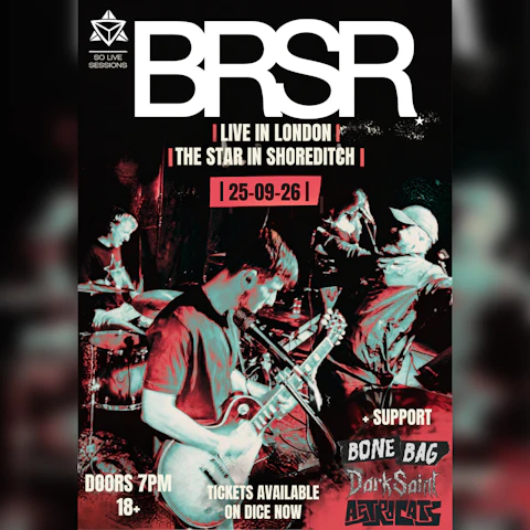 BRSR